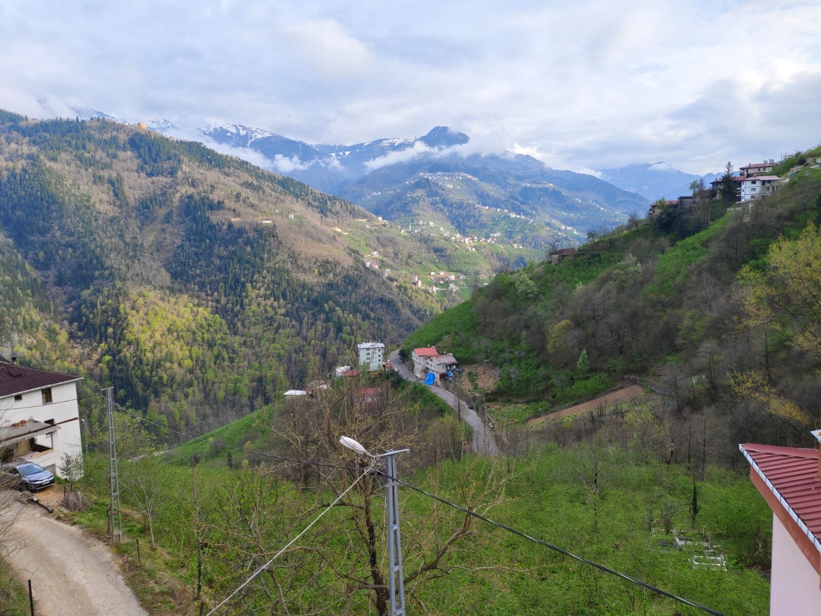 Manzara