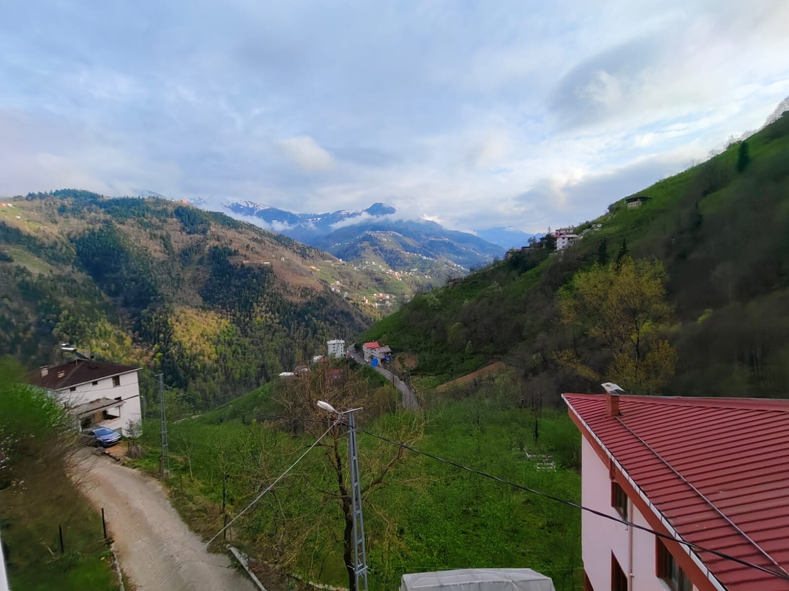 Manzara